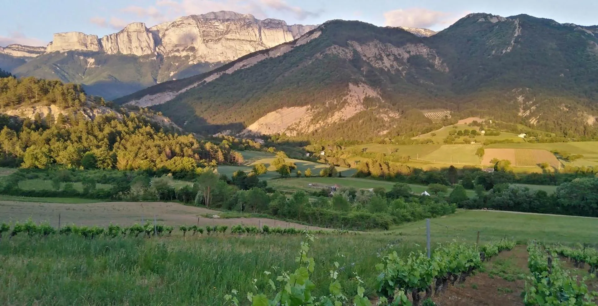 Le Second Souffle: Central Die Guesthouse